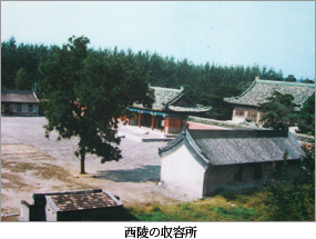 ���˂̎��e��