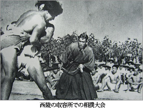 ���˂̎��e���ł̑��o���